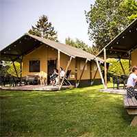 Campingplatz De Scherpenhof in Gelderland / Veluwe, Niederlande