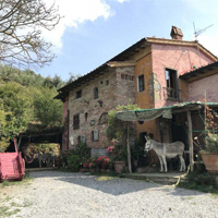 Campingplatz Gli Asini Felici in Toskana und Elba, Italien