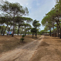 Campingplatz La Tamarissière in Languedoc-Roussillon, Frankreich