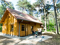 Grote Bos Sparrendaal mit Sauna