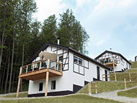 Winterberg Luxus Ferienhaus 6p