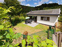 Wirfttal Ferienhaus Hund 4p