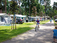 Heldense Bossen Stellplatz