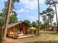 Haeghehorst SafariZelt Woods