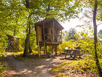 Norgerberg Baumhutte