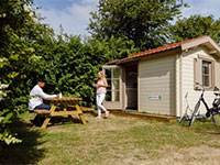 TopPershoedje De Zeester