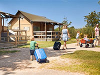 TopPershoedje Duinroos 