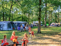 Flaasbloem Stellplatz