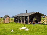 Zelthütte mit privater Dusche neben dem Zelt