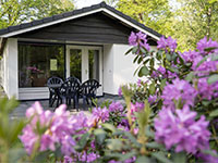 Westerbergen Bungalow Meidoorn