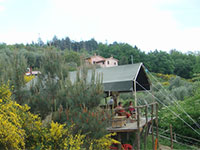 Gli Asini Felici Safari Zelt