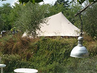 Gli Asini Felici de Waard Zelt