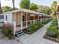 Lodge Superior A Barrierefrei