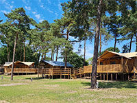 Heldense Bossen Safarizelt 6P