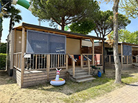 Estivo Premium DeLuxe