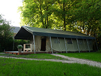 Vreemde Vogel Afrikanischer Zugvogel