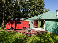 Vreemde Vogel Feuervogel