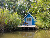 Vreemde Vogel Teichhuhn