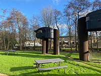 Vreemde Vogel Gemütliche Strauss