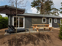 Bosgraaf Veluwelodge