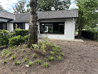 Bosgraaf Gruppenvilla 12p