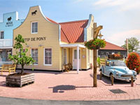 Molenwaard Stip de Pony Studio