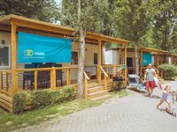 Premium Lounge Compact