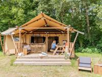 Gooise Heide Heide Zelt