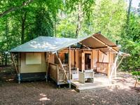 Gooise Heide de Stille Heide