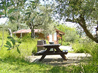 Rocca Di Sotto Chalet