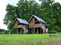 Koeksebelt Baumhaus