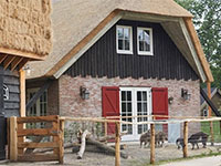 Loonsche Land Ferienhaus Wald