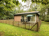 Landal Miggelenberg Ferienhaus Hund 4p