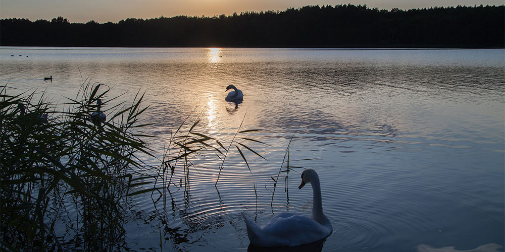 Abstand halten leicht gemacht