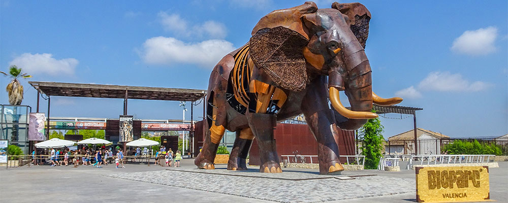 Valencias Zoo &ndash; der Bioparc