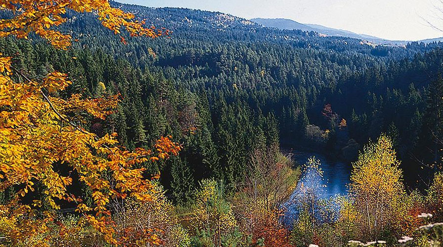 Herbstferien, Knaus Campingpark Viechtach