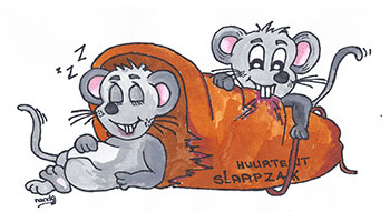 Schlafsack-Mäuse Schlafsack-Mäuse