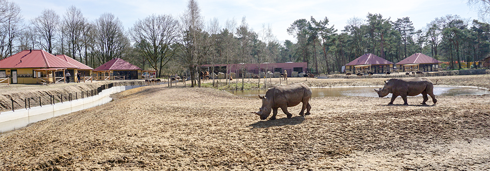 Beekse Bergen in Noord-Brabant Beekse Bergen in Noord-Brabant