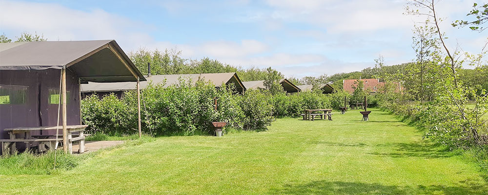 Kinderfreundliches Glamping auf dem Bauernhof, mit WiesenBett auf de Zeekraal