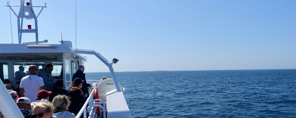  Per Boot schipperten wir von Benodet aus hinaus zu den &Icirc;les Gl&eacute;nan