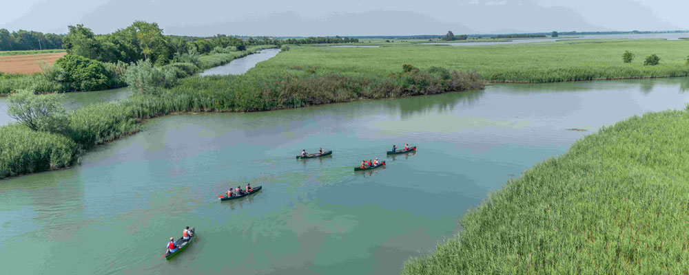 Auch ungeübten Paddlern gelang es, ihr Kanu sicher zu steuern Auch ungeübten Paddlern gelang es, ihr Kanu sicher zu steuern
