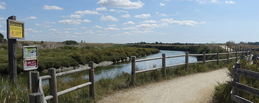 die Marais Salants de l’ile d’Olonne im Norden von Les Sables d’Olonne die Marais Salants de l’ile d’Olonne im Norden von Les Sables d’Olonne