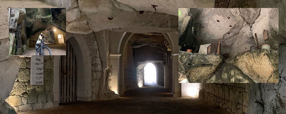 Troglodyten Troglodyten