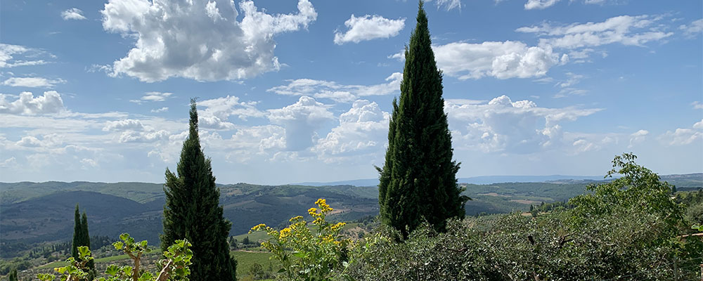 Pfingstferien 2025: Genie&szlig;en und mit Angeboten sparen