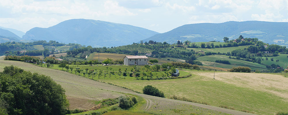 Pr&auml;chtige Aussicht &uuml;ber die H&uuml;gellandschaft rund um Urbino
