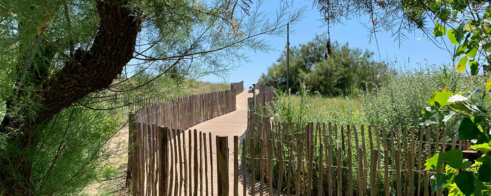Der Weg zum Strand von Sérignan Plage Der Weg zum Strand von Sérignan Plage