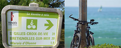 Mit dem Drahtesel in den Campingurlaub: Fahrrad fahren kann man (fast) überall