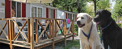 Top 10 der hundefreundlichsten Campingplätze Italiens. And the Winner is...