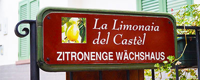 Wo sind die Zitronen in Limone sul Garda?