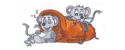 Wie lagere ich die Campingausrüstung für die nächste Saison ein?